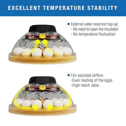 Brinsea Maxi 24 Advance Incubator with auto Turner for Hatching 24 Eggs | Temperature control to ensure optimal conditions for hatching 24 eggs or more with inserts, Easy to use precision controls - size: 24 Eggs