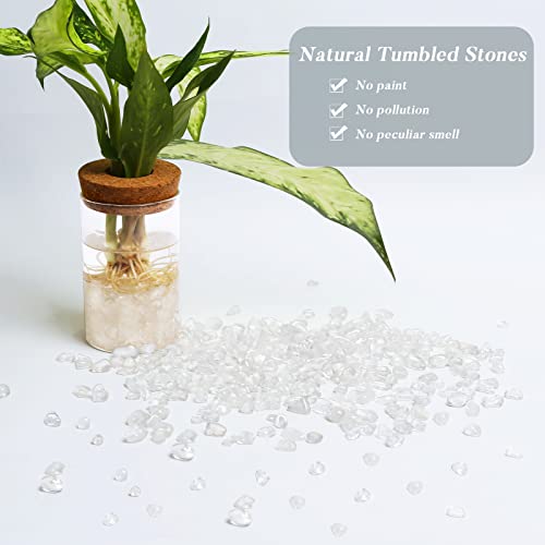 QICQDRAM Polished Gem Stones Rocks Clear Quartz Crystals Chips Natural 1LB | Small Tumbled Stones Crystal Chips Bulk for Healing Crystals Fish Tank Gravel Vase Filler (405g/14.28oz) - color: Clear Quartz