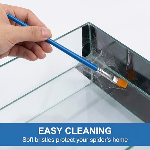 Jumping Spider Accessories Kit 5 Pcs,Spider Enclosure Starter Kit with Bottle,2 Soft Paint Brushes for Gentle Handling & 2 Plastic Feeding Tweezers for Care Tools