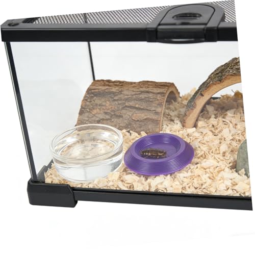 SOLUSTRE 12pcs Plastic Reptile Feeding Bowls Nontip Base, Portable Small Food Dishes for Lizards and Bearded Dragons, for Transporting and Outdoor Activities