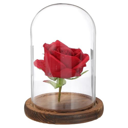 uxcell Glass Cloche Display Dome, 5.9" x 3.5" Glass Dome Display Case, Wood - size: 5.9" x 3.5"