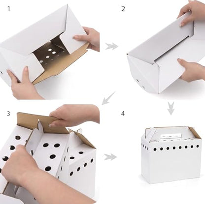 15 Pack Cardboard Pet Carrier Box for Small Pets, 11 x 8 x 6 Inch Disposable Corrugated Small Animals Travel Box with Ventilation & Handle for Chickens, Chicks, Birds, Hamsters & Reptiles