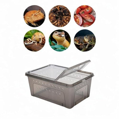 Reptile Habitat Box for Silkworm Breeding and Frog Care, Black