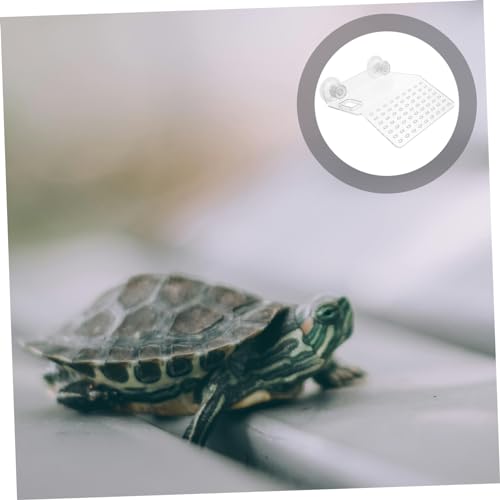 BESPORTBLE Transparent Acrylic Turtle Basking Platform Small Aquatic Reptile Resting Terrace Durable and Decorative Climbing Habitat for Turtle Tanks and Aquariums