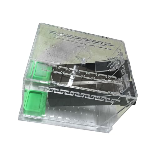 Crickets Breeding Box Equipped with Food Water Basins and Absorbent Cotton Breeding Case