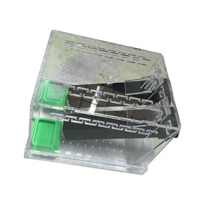 Crickets Breeding Box Equipped with Food Water Basins and Absorbent Cotton Breeding Case
