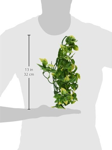 Hagen Exo Terra Plastic Terrarium Plant, Medium, Amapallo - color: Blue, size: Medium