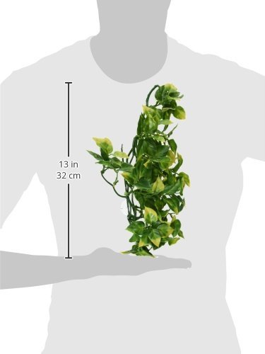 Hagen Exo Terra Plastic Terrarium Plant, Medium, Amapallo - color: Blue, size: Medium