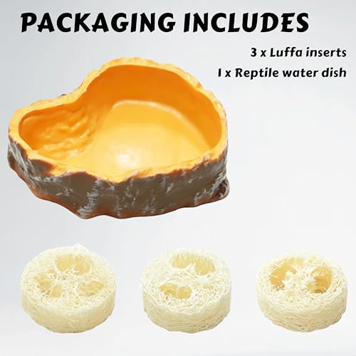 Dubia Roach Water Dish with 3 Luffa Inserts, Reptile Water Dish, Feeding Dish for Reptiles, Dubia Roaches Live, Isopods, Springtails, Crickets & Other Feeder Insects