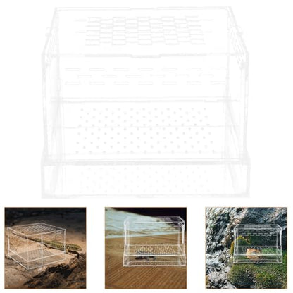UKCOCO Acrylic Insect Feeding Box with Lid for Breeding Reptiles, Mealworm Habitat Container Suitable for Tarantula and Snake Enclosures