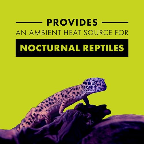 Zilla Incandescent Bulb, Night Black, Ideal for Nocturnal Reptile Species - size: 50 Watts, style: Night Black