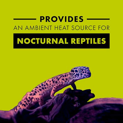 Zilla Incandescent Bulb, Night Black, Ideal for Nocturnal Reptile Species - size: 50 Watts, style: Night Black