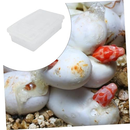 BESPORTBLE 20Grids Reptile Hatching Box Plastic Incubation Tray for Up to Eggs for Breeding Geckos Snakes and Lizards Lightweight and Portable