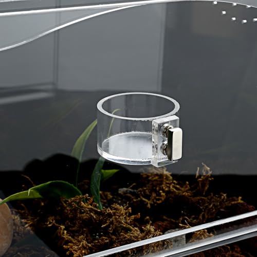 2 Pack Jumping Spider Feeding Dish, Acrylic Tarantula Water Dish Food Bowl | Jumping Spider Food Water Dish, Strong Double Magnets, Jumping Spider Enclosure Accessories for Insect,Reptile,Mantis,Bug