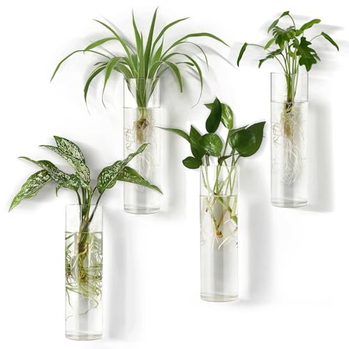Mkono Wall Hanging Vases, 4 Pack Glass Propagation Stations Flower Planter | Cylinder Terrariums Tubes,For Hydroponic Air Plants, Excludes Plants,Bathroom Living Room Office Decor, Gift for Plant Lovers