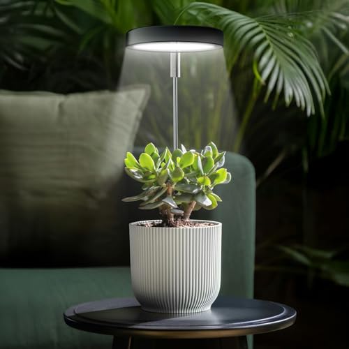 Grow Lights for Indoor Plants Small Potted - Full Spectrum, Auto 3/9/12H Timer, 10-Level Dimming & Adjustable Height - Compact Grow Light for Succulents, Herbs, Foliage in Home/Office (Black,2PACKS) - color: Black, size: 2-Pack