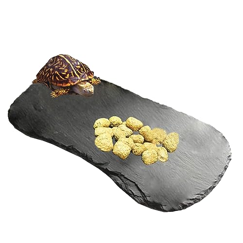 Reptile Basking Platform 13.5''x8.0'' Turtle Rock Slate Feeding Bowl Food Dish Feed Plate Tortoise Bathing Resting Slab for Lizard Gecko Bearded Dragon Chameleon Snake Frog - size: 13.5''x8.0''(1PCS)