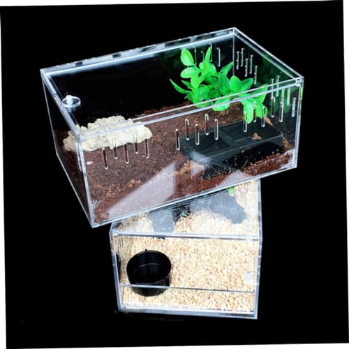 Acrylic Reptile Box for Bearded Dragon Turtle Spider Safe Eco-Friendly Removable Easy Assembly