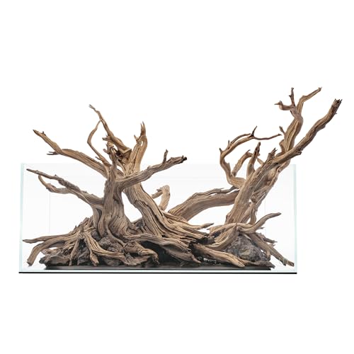Ultum Nature Systems Ultra Clear Rimless Aquarium - Low Iron Glass Fish Tank with 45° Mitered Edges, 5mm-12mm Thick, Leveling Mat Included (25S, Shallow, 2 Gallon) - size: [25S] - 2.1 Gal - 9.84 x 9.84 x 5.11 in