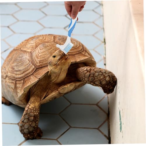 2pcs Bristles Double-Sided Brush Turtle Shell Clean Brush for Reptile Multi-Functional Home Cleaning Tool