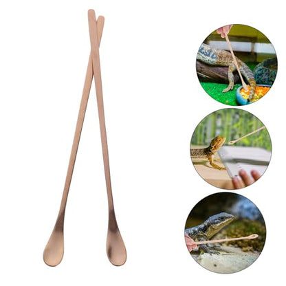 BESPORTBLE 2pcs Reptile Food Feeding Spoon Handle Stainless Steel Scoop for Lizards Small Animals Convenient Pet Feeding Tool for Reptiles
