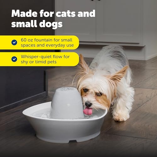 PetSafe Creekside Ceramic Pet Fountain, 60 Oz, Extra Filters | 60 Oz Capacity, Whisper-Quiet Flow, Includes 12 Extra Carbon & 2 Extra Foam Filters, Dishwasher Safe, Cats & Small Dogs - style: Fountain + 12 Carbon Filters + 2 Foam Filters