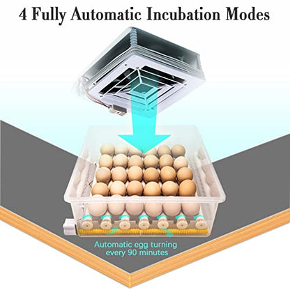 Incubators for Hatching Eggs, Egg Incubator with Automatic Egg Turning and Humidity Control, Egg Incubator for Chicken Quail Duck Pigeon Eggs(36 Eggs)