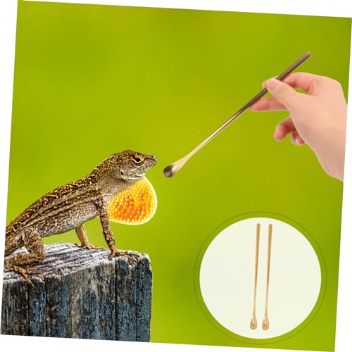 Levemolo 2Pcs Stainless Steel Pet Food Spoon for Reptiles Long Handle Feeding Tool for Lizards Turtles Small Animals Durable and Easy to Use Compact Design