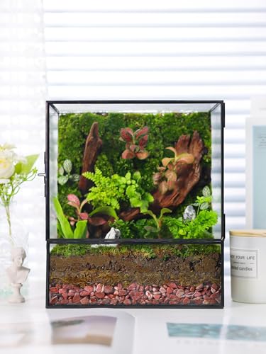 REDHUGO Glass Planter Terrarium with Door, Geometric Display Box, Black | Geometric Glass Terrarium with Door for Moss, Succulents and Air Plants, Ideal for Tabletop Centerpieces and Display - color: Black