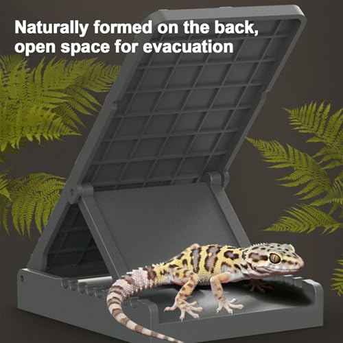 Turtle Climbing Ledge Foldable Non-Slip Resting Playing Feeding | Bearded Dragons Climbing Step Ramp for Lizard Keepers Enclosure Vivarium Tank Frogs Geckos Chameleons Newts Snakes Tortoise - color: Gray