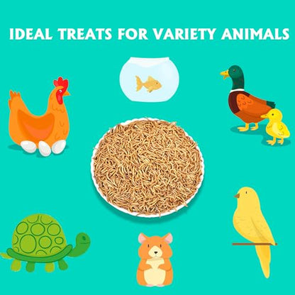 Dried Mealworms 10LB Meal Worms for Chicken Ducks and Wild Birds | Pure Natural Non-GMO High Protein Chicken Feed