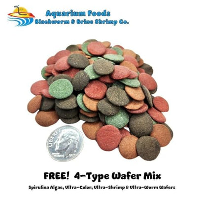 Freeze Dried 1"- 3" Fresh Water Fish for Piranhas Large Fish, Land and Aquatic Turtles, Rodents, Reptiles, Lizards, Cat Treats & More…4.3oz Lg Round Jar - size: 4.3 Ounce (Pack of 1)