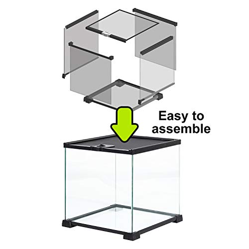 REPTIZOO Small Glass Tank 8 Gallon, Top Opening Terrarium 12" x 12" x 12" Leopard Gecko Tarantula Young Lizard Hermit Crab Frog Insects Breeding Tank - size: 12"W X 12"D X 12"H (8 Gallon)