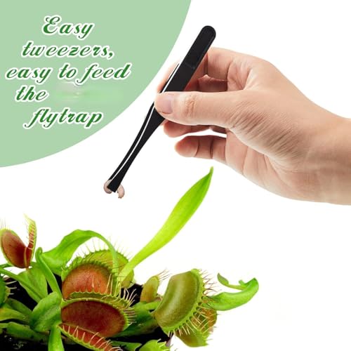 8 Pieces Carnivorous Plant Fly Trap Feeding Tweezers Food Tongs 8 Styles Black Tongs Carbon Fiber Food Tweezers for Pitcher Plants Butterwort Mealworm Feeding, 4.7 Inch Long