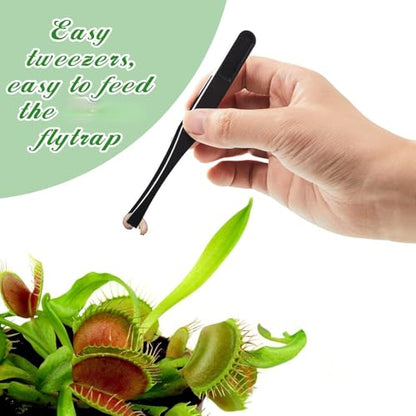 8 Pieces Carnivorous Plant Fly Trap Feeding Tweezers Food Tongs 8 Styles Black Tongs Carbon Fiber Food Tweezers for Pitcher Plants Butterwort Mealworm Feeding, 4.7 Inch Long