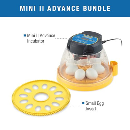 Brinsea Mini II Advance Egg Incubator with Automatic Turning & Extra Insert | 50+ years of expertise! Set-and-forget automatic incubator with digital countdown gives your eggs the best chance to hatch - size: 7 Eggs with extra insert
