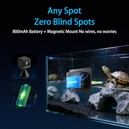 2K HD Turtle Terrarium & Tank WiFi Camera, 140° Wide-Angle Anti-Glare Lens, Night Vision, Two-Way Audio, AI Motion Alerts, 24/7 Recording, Easy Stick-On Install for Pet Turtles