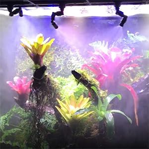 Reptile Mister Nozzles - T Double Misting Assembly, 1/4'' Misting Nozzles for Terrarium, Paludarium, Vivarium, Plants, Amphibians, and Reptile Tanks - size: Double Nozzle