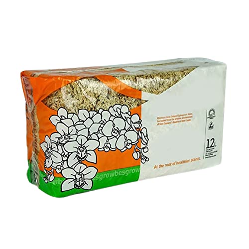 Sphagnum Moss Dried Spagnum Dry Moss for Reptiles Bedding and Terrarium Pet Supplies 150g Sphagnum Dried Dry for Reptiles Reptile Spagnum for Plants