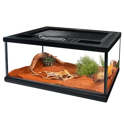 Reptile Glass Terrarium Tank 12"*8"*6",Small Cage Full View with Top Screen Ventilation Habitat Enclosure for Tarantula,Frog,Gecko,Insects,Spiders,Snakes,Hermit Crab,Turtle,Fish - size: 12*8*6inch