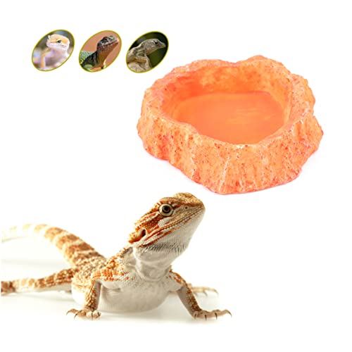 Toddmomy Reptile Water Bowl Lizard Accessories Reptile Food Feeder Bowl Skid-Resistant