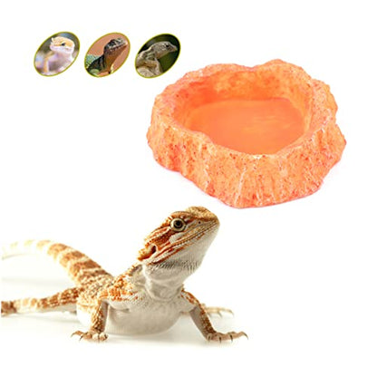 Toddmomy Reptile Water Bowl Lizard Accessories Reptile Food Feeder Bowl Skid-Resistant
