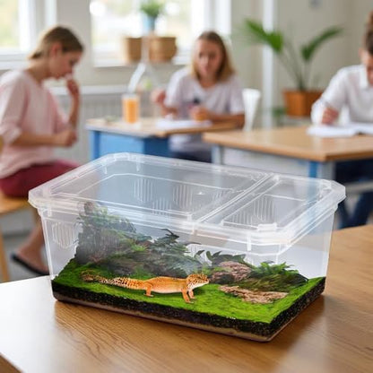 6 Pack Reptile Feeding Box Breeding Box Transparent Hatching Container Plastic Feeding Box for Small Reptiles Amphibians Spiders Scorpions Geckos Tortoises Treefrogs (Small Size)