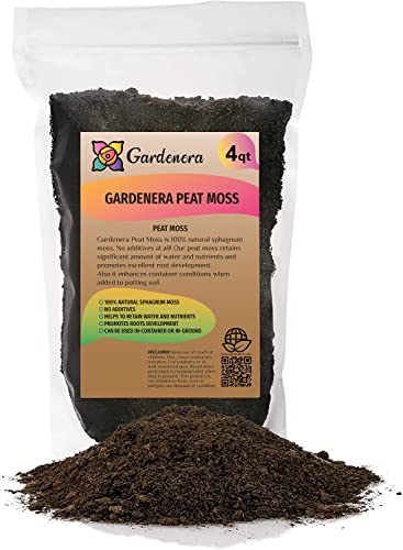 Premium Natural Sphagnum Peat Moss - Gardening Soil Amendment and Carnivorous Plant Soil Media by Gardenera (4 Quart Bag) - color: PEAT MOSS, size: 4 Quart