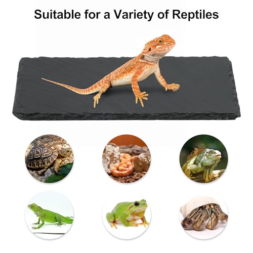 Reptiles Slate Rocks, Basking Surface Reptile Basking Platform, Enhances Climbing Activity, 9.84"x4.72", Black Gray - size: 9.84"x4.72"