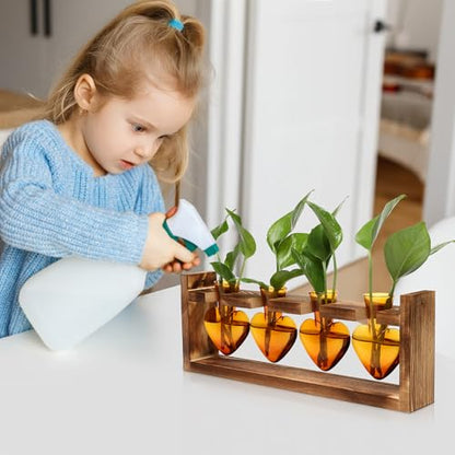 Plant Propagation Stations Heart Plant Terrarium Kit | Gift for Women Plant Lover Glass Vases - color: Amber