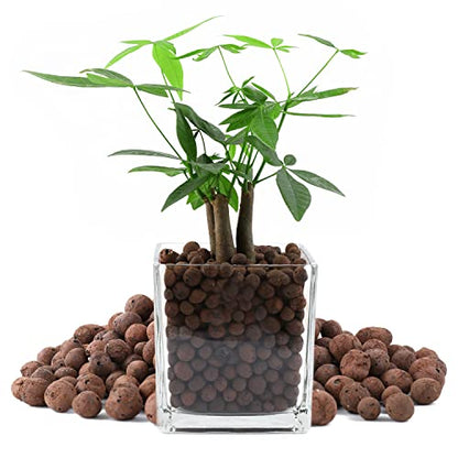 Rurtsva Natural Clay Pebbles 17LBS– 8mm-15mm Expanded Leca Balls for Hydroponics Plants Drainage Grow Media Reusable Soil Amendment for Orchids, Succulents, Aquaponics - size: 17LBS