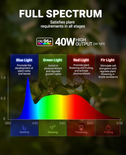 Barrina TR40A Track Plant Lights, 40W Ceiling Grow Lights, 5000K, Black | Adjustable Beam Angle (15°-60°), Full Spectrum, Wall Plant Light with Timer for Greenhouse, Seedling and Vegetable, High PPFD - color: 5000K, size: 40w-black Cover