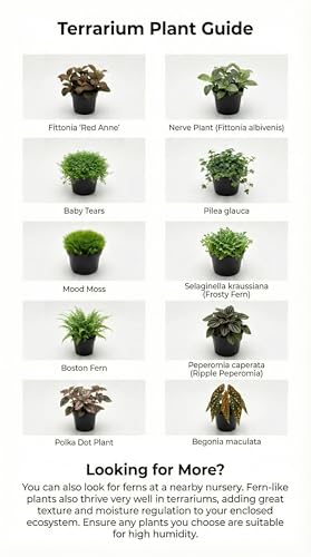 DIY Terrarium Kit with 13 Items Soil Pebbles Sphagnum Moss Activated Carbon Burlap Peat Moss Terrarium Tools Indoor Garden Make Your Own Terrarium - style: Terrarium Kit