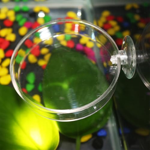 2Pcs Round Transparent Acrylic Fish Tank Feeder Dish with Suction Cups Clear Aquarium Shrimp Feeder Dishes Food Tray Container (60MM)